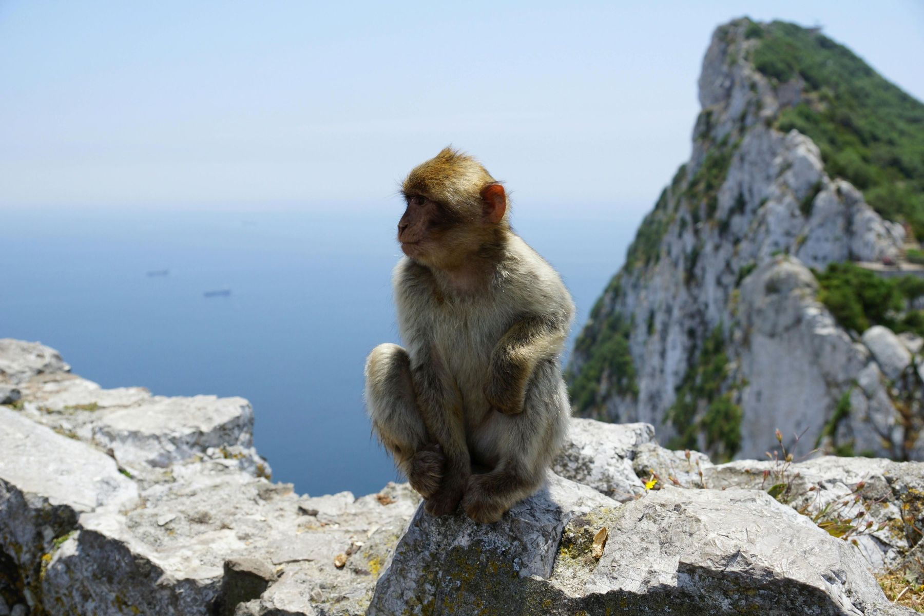 Gibraltar (133)