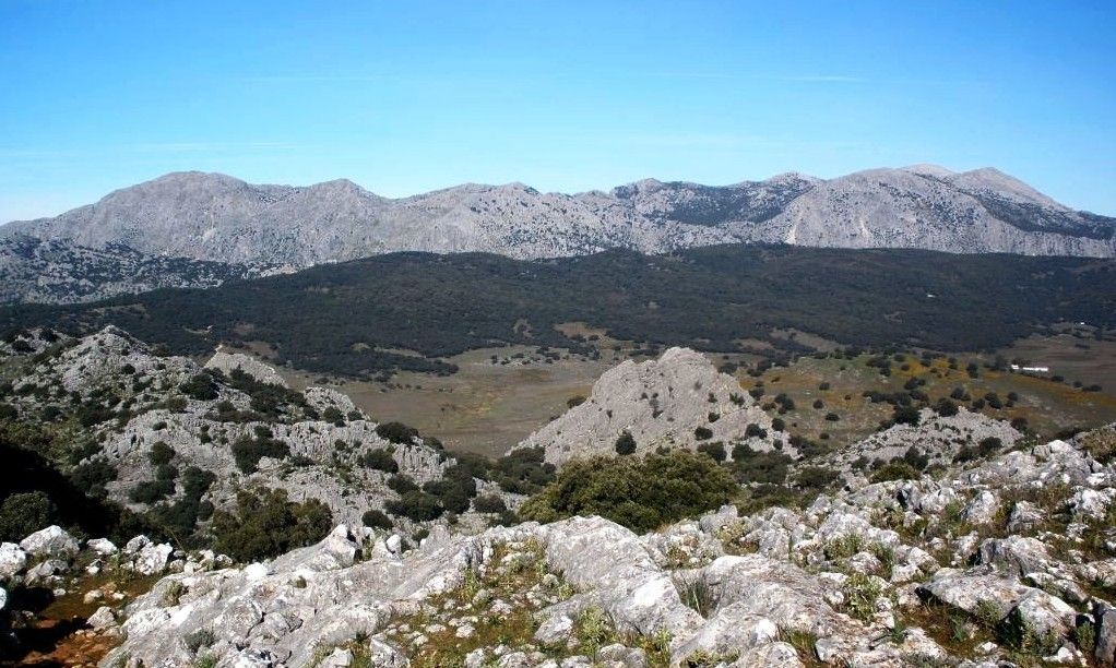 Llanos del Republicano (192)