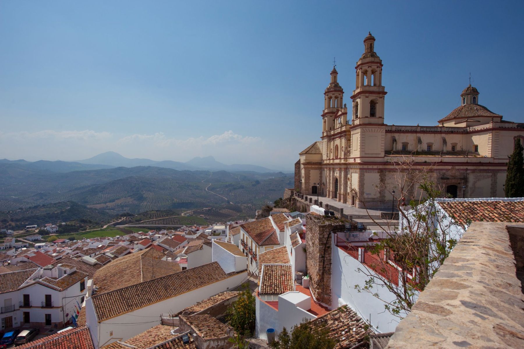 Olvera (215)