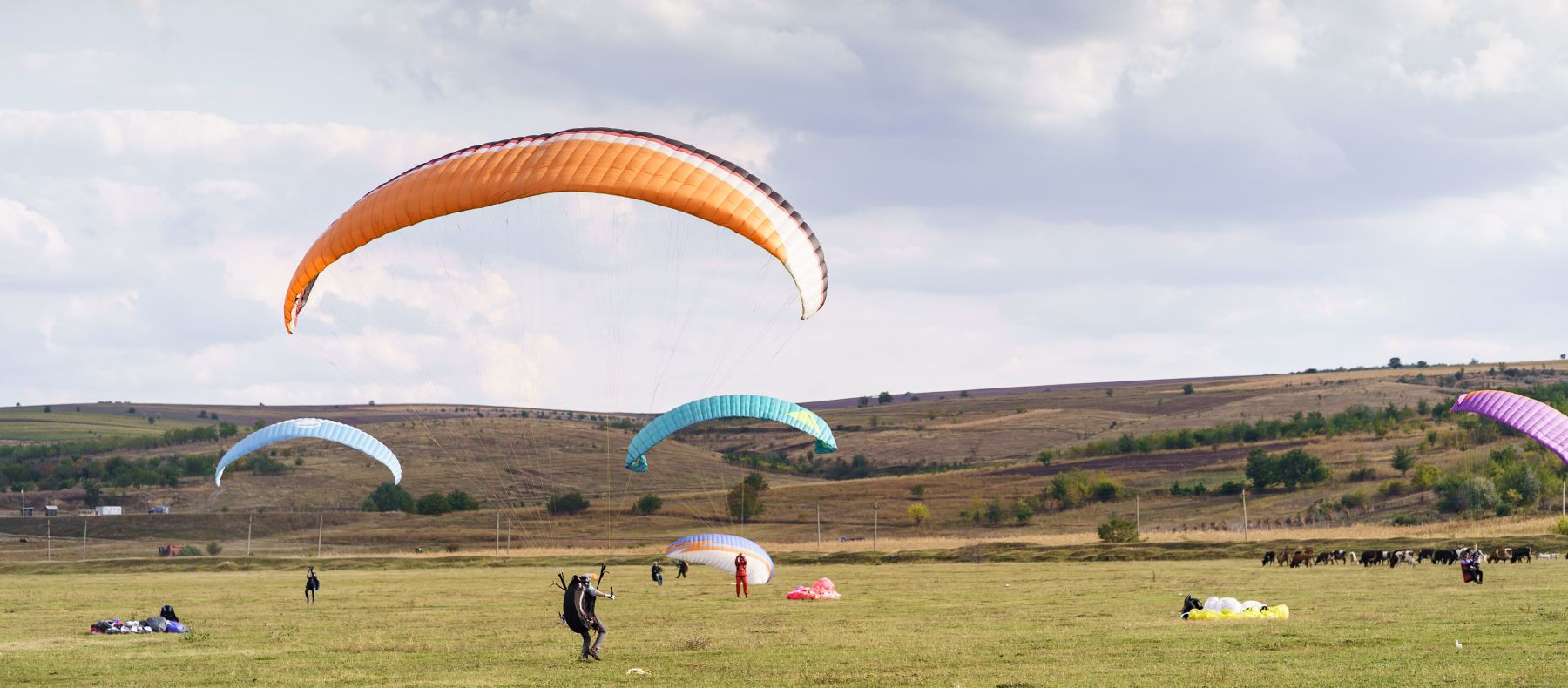 Parapente (184)