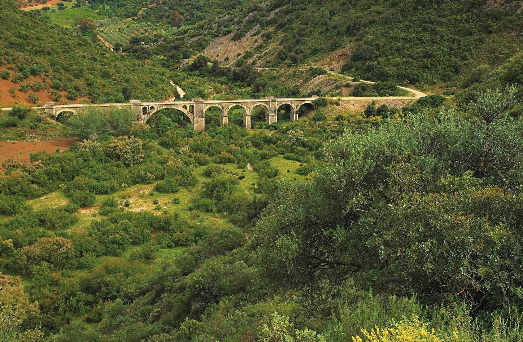 Vía Verde (216)